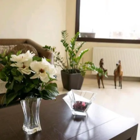 Villa Nostra- Cars Included Soroni